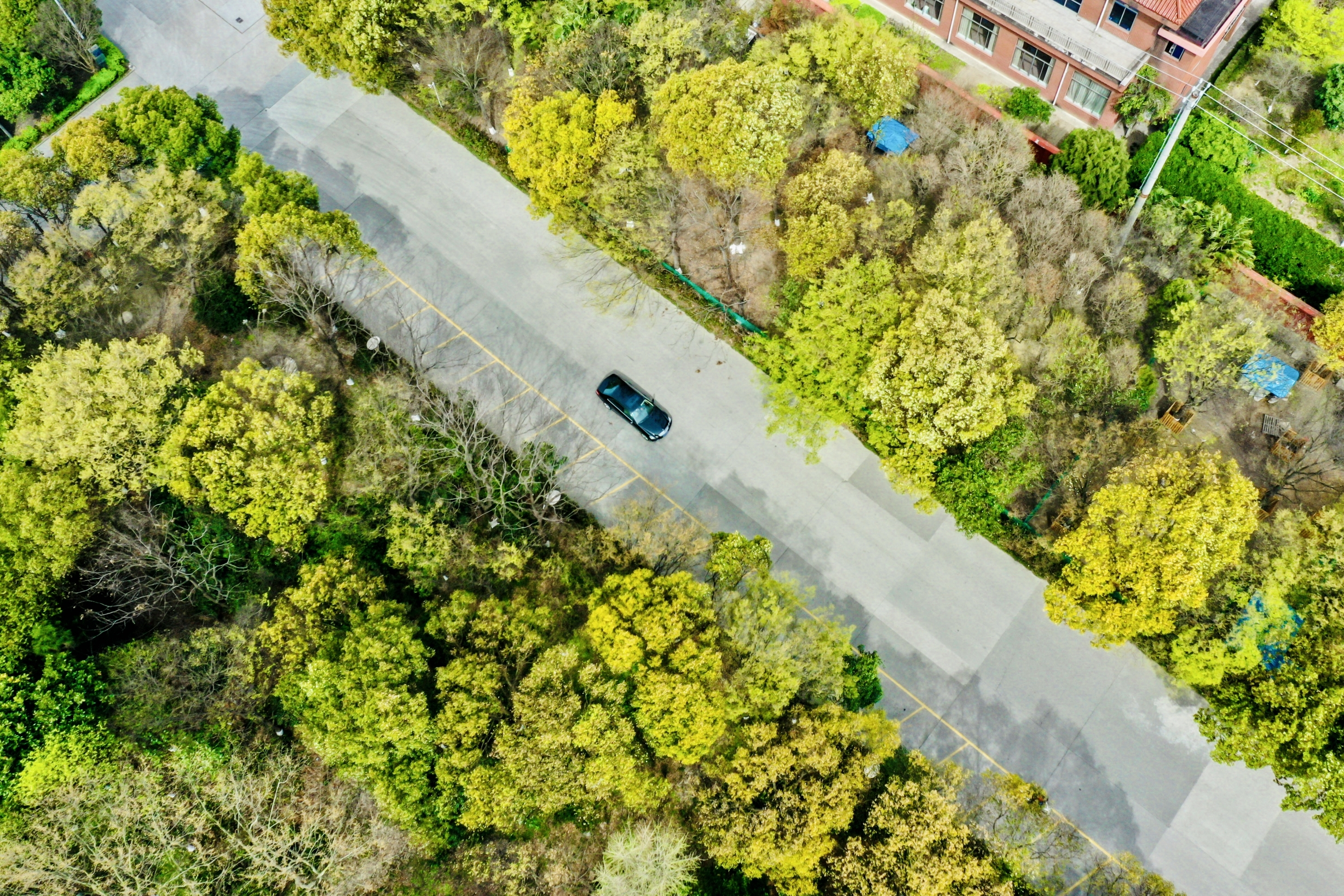 万象城AWC(中国区)体育有限公司