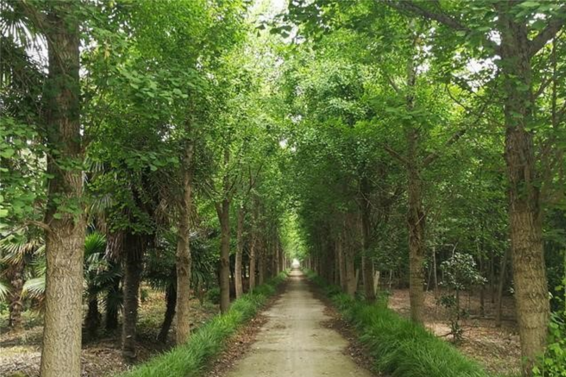 万象城AWC(中国区)体育有限公司
